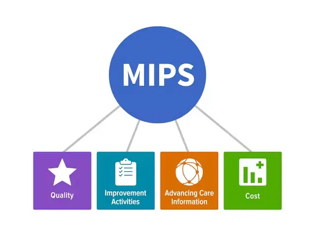 Mips Solution