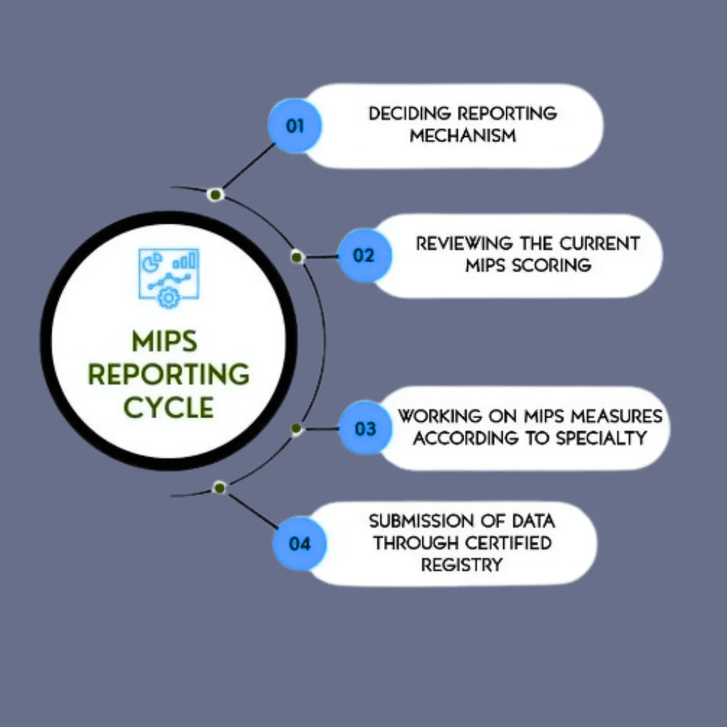 MIPS Consulting And Reporting